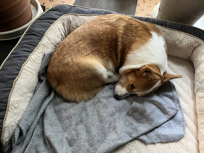 おはようございます。 