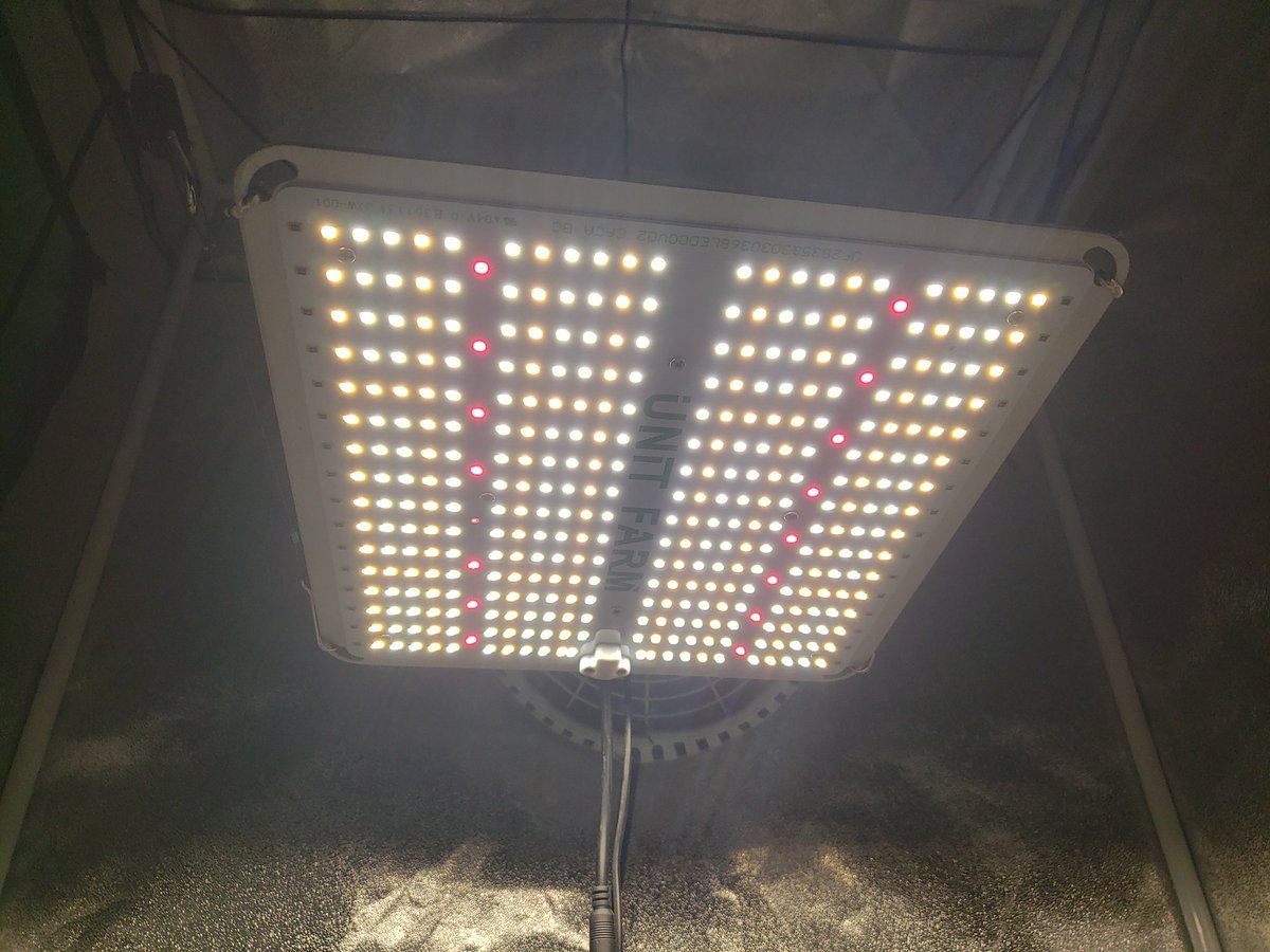 ThaGromie's tweet photo. This is my new Sour Diesel tester from @irvineseedco @breeder_j #IRVINEARMY @ChefDC710 looking better than the first 1. Under my UF-2000 from @UNITFARM_led soon to drop in the 🌼 tent with the others. #Mmemberville #LETSGROW #organic https://t.co/2ehM4iyVl9