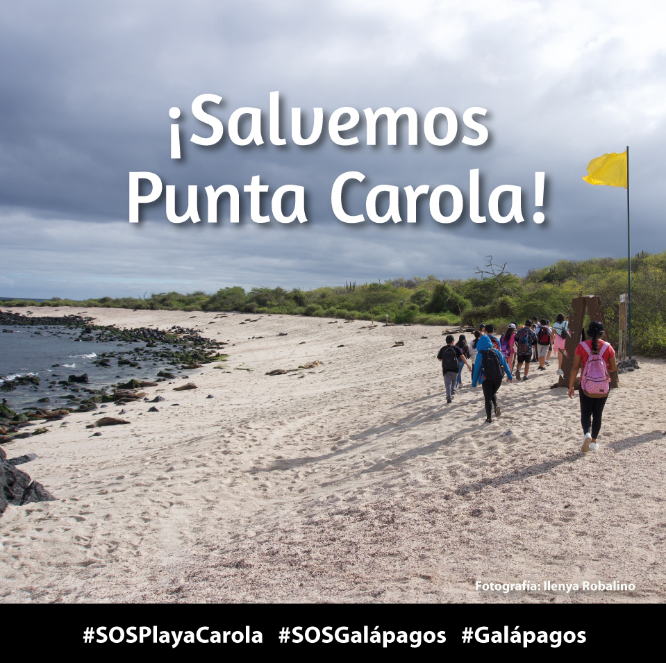 (5/5) Playa Carola – Galápagos es un regalo de nuestros padres y madres y nuestra herencia para nuestrxs hijxs. NO ESTÁ A LA VENTA. #SOSPlayaCarola #SOSGalápagos #Galápagos