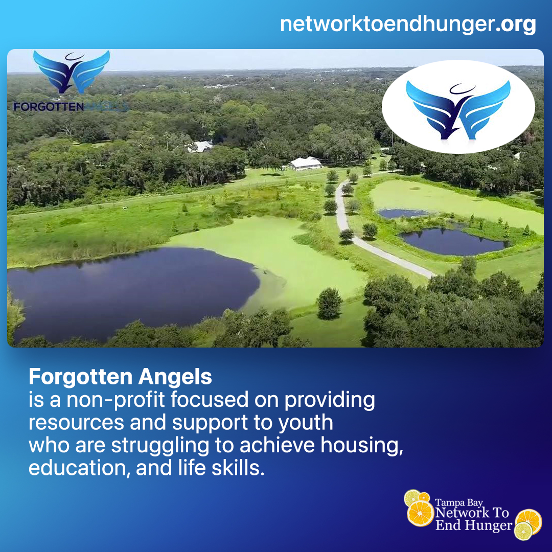 To learn more information about their services and potential volunteering opportunities, please contact Forgotten Angels at 📞(813) 812-0120. networktoendhunger.org #tbneh #members #membermeeting #endhunger #networktoendhunger #tampabay