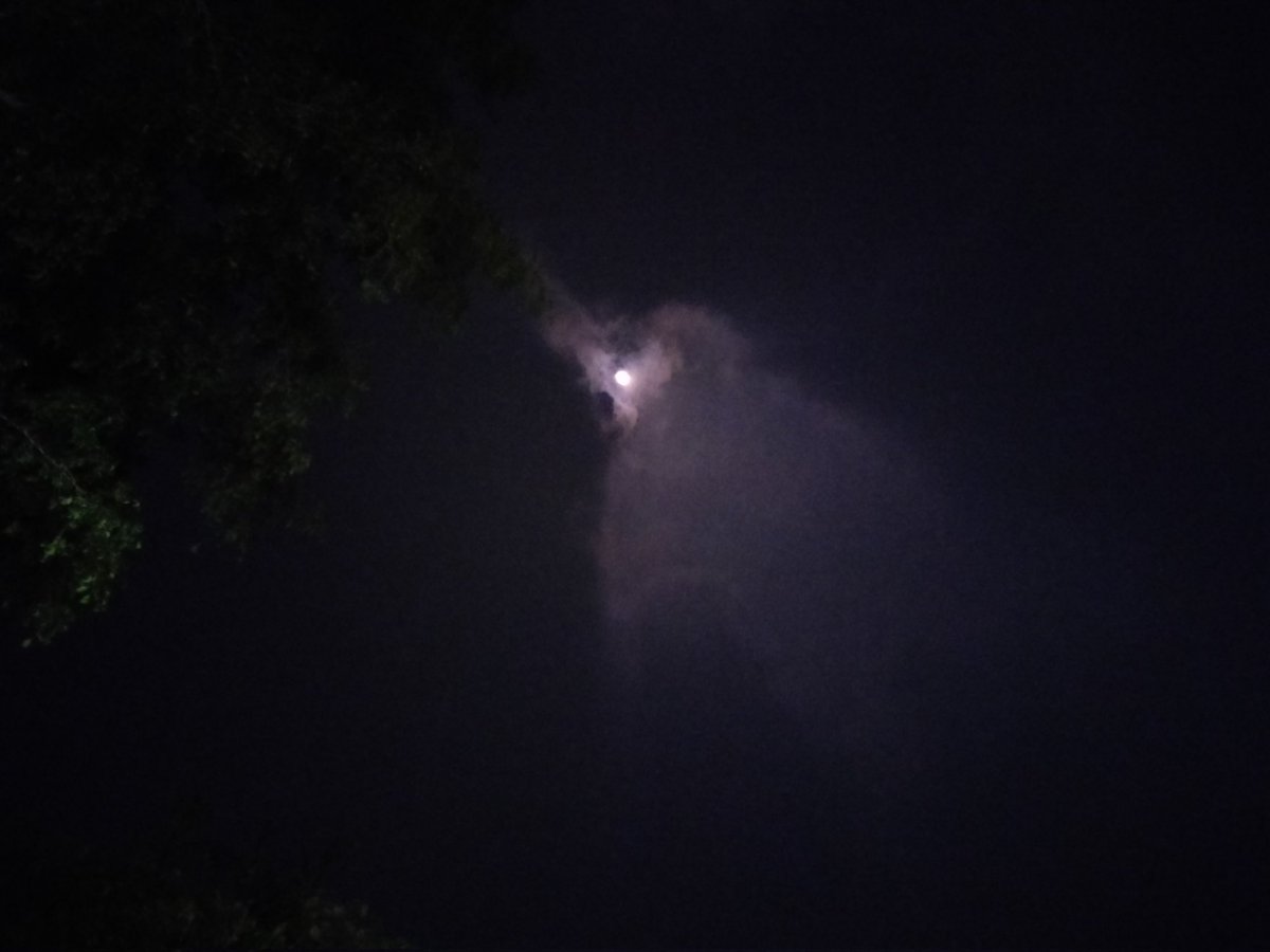 priety_preets's tweet image. Last night, moon. ๐
And is that an elephant? โ๏ธ
#magic ๐ช