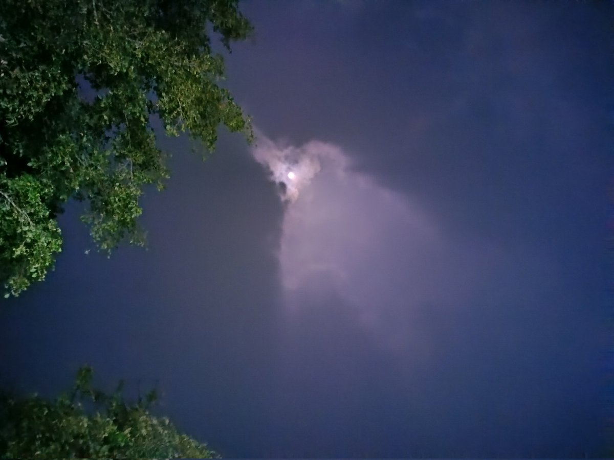 priety_preets's tweet image. Last night, moon. ๐
And is that an elephant? โ๏ธ
#magic ๐ช