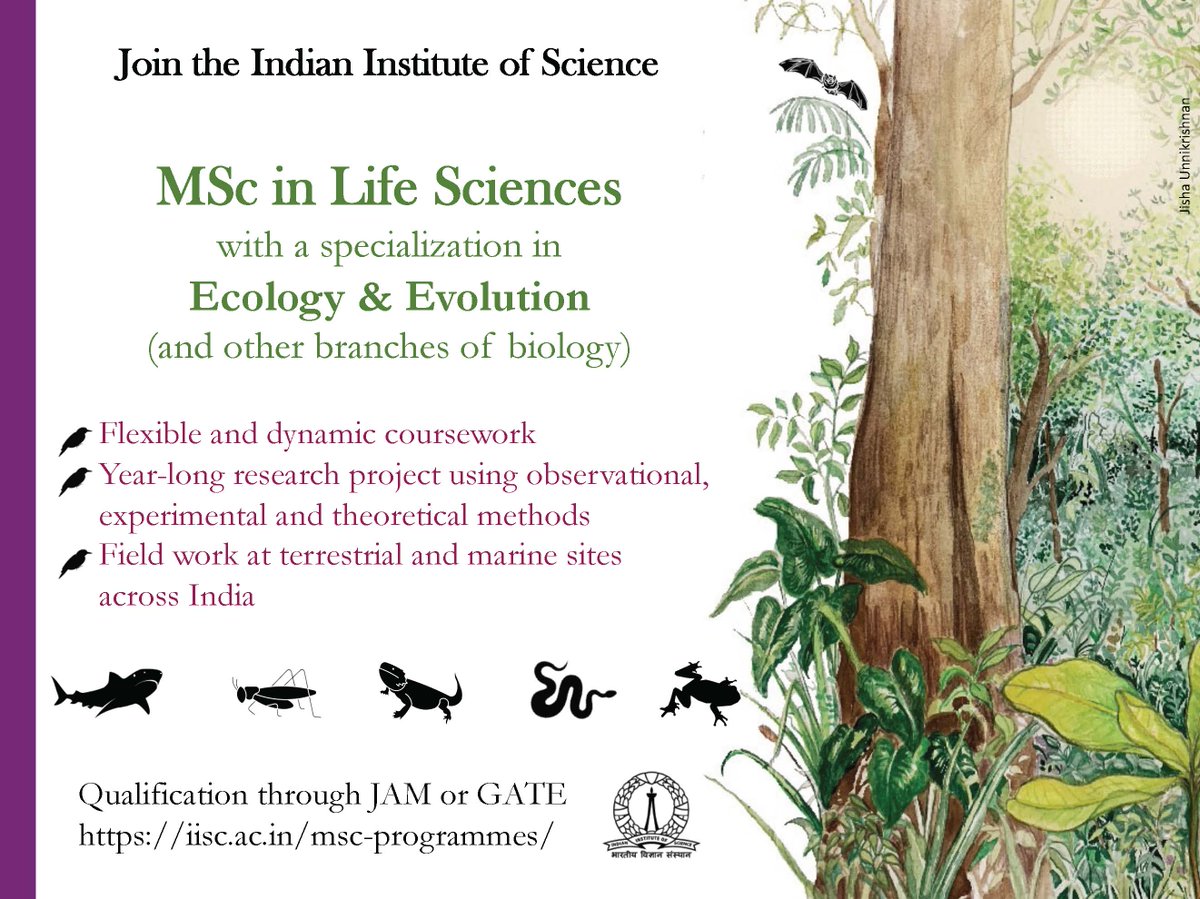 saskya van Nouhuys tweet media