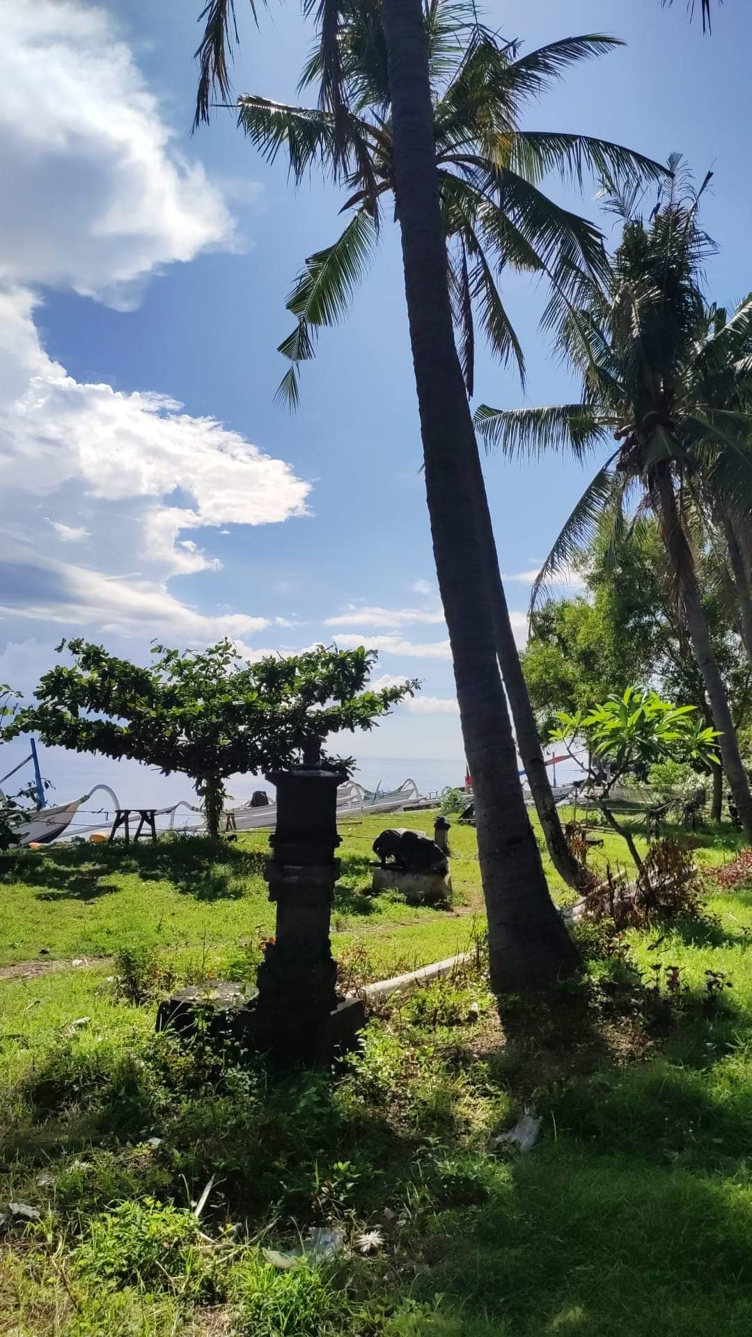 Vip Diving (VIP_Diving) / Twitter