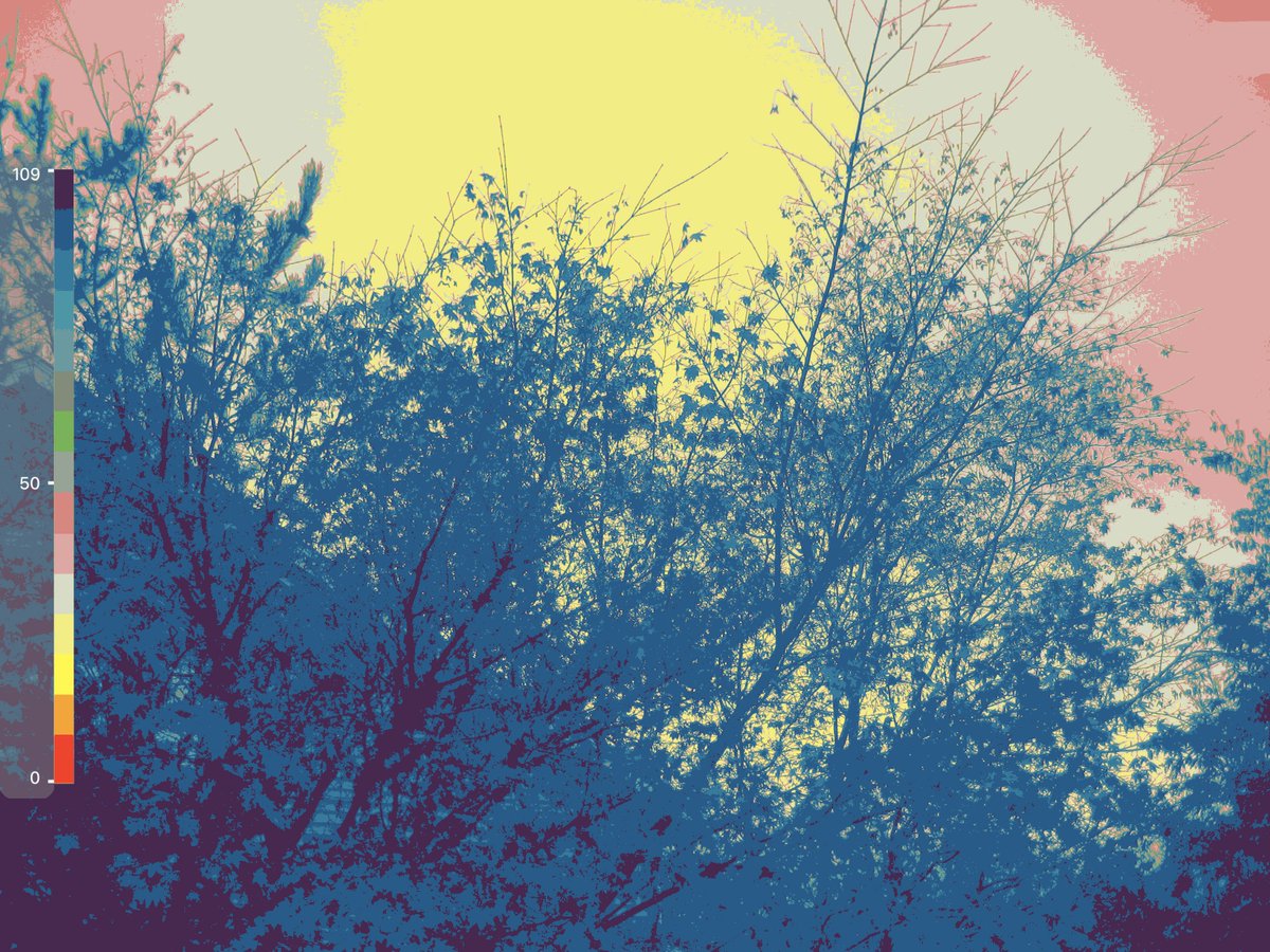 baqof's tweet image. 