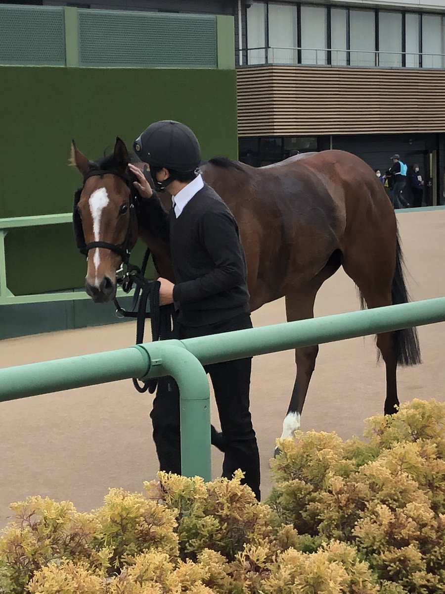 スティクスはいつも期待させてくれるので楽しいです。次も頼むよ。
良い休日を過ごせました。