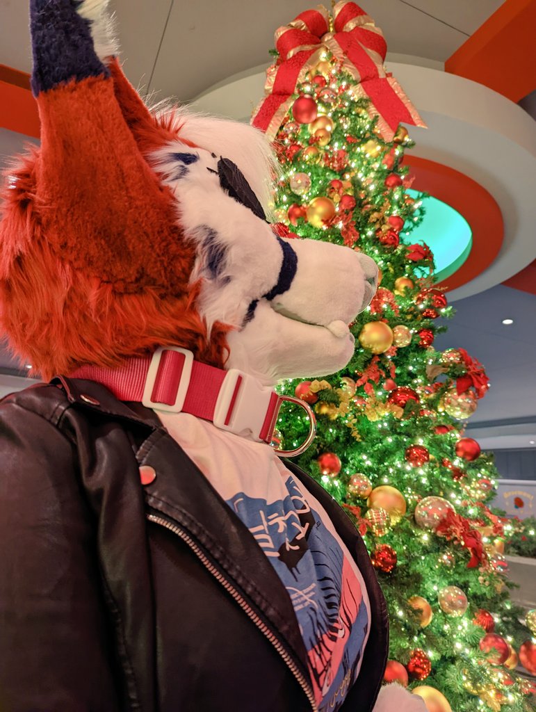 MissRubyOcean's tweet photo. It's almost Christmas time #MFF22 

✂️: @CosmellCosplay 
📸: @MintyCoco https://t.co/zoIeu1iBYz