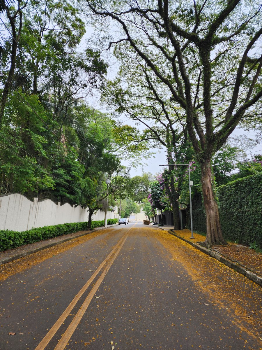 Andréia Bohner tweet media