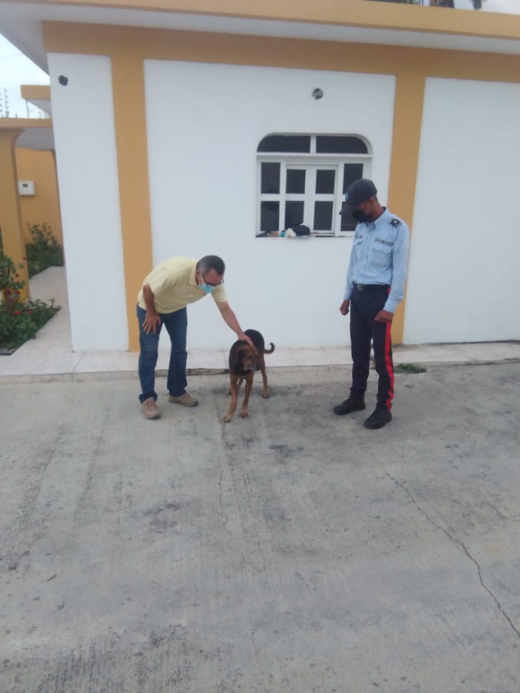 GranInversiones's tweet photo. Cabe destacar que el veterinario en compañía de 2 funcionarios de la @Polilaraoficial hicieron acto de presencia, constatando la situación y entablillando la patica del perrito @TarekWiliamSaab @MinpublicoVEN https://t.co/YUZSzZ0rEZ