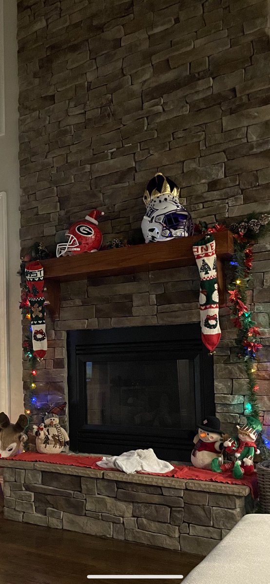 christiemvaughn's tweet photo. Christmas in the Vaughn household. Note our priorities on the mantel 😉🐶😈 @Coach_DVaughn #lifewithcoach https://t.co/U9rLxSbmIV