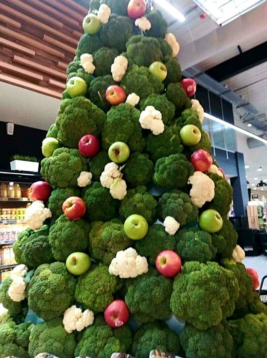 Chapingo_soy's tweet photo. Así les quedó el árbol de Navidad a los colegas de Fitotecnia 😍 https://t.co/eES68jMXDc