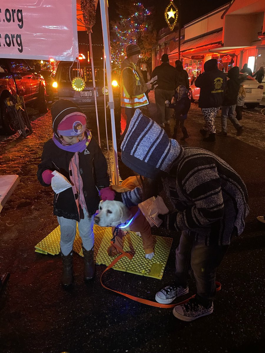 selshult's tweet photo. Today I will rest and remember all the love all the children at the Shelton Holiday Parade gave me. I love little hoomans and being in Parades. IT was cold so I got to wear my snow suit. #SheltonHolidayParade #MCSAR #americanhumane #lyonspress #labs #k9keb #codekeb # https://t.co/DmOAhaA5ex