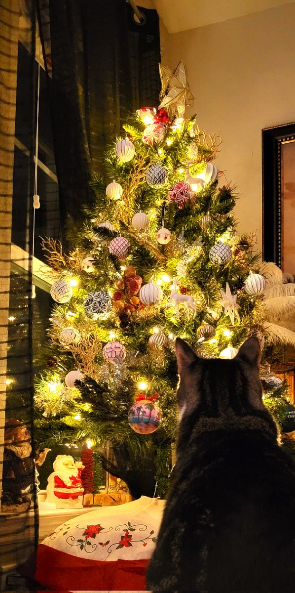 _Bunnymell's tweet photo. Tis the season ❤️🎄💚 https://t.co/UCfPL1KWCG