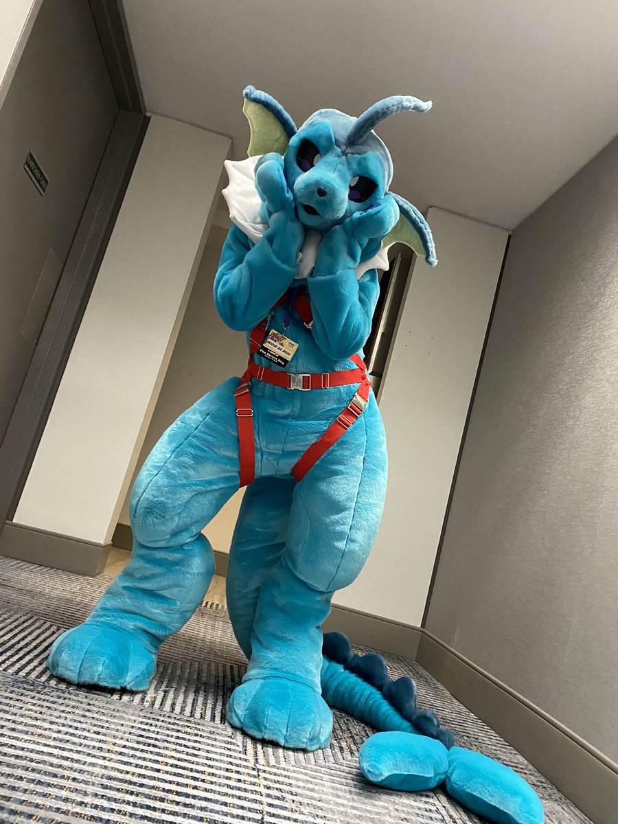 ScarletWingsFS's tweet photo. MFF Eeveeloutions! If you got any pics with them over the weekend I’d love to see! One day we’ll have the full set 😎 https://t.co/6dUePYPzex