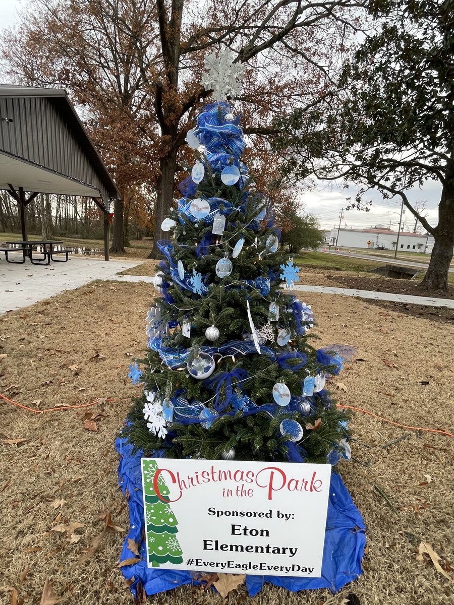 eton_ap's tweet photo. Shout out to Mrs. Bailey and Mrs. Richards for decorating our school tree at CHRISTMAS IN THE PARK!! 🎄🍎💙 @mcsgeorgia #everyeagleeveryday https://t.co/5BW8B6lY2P