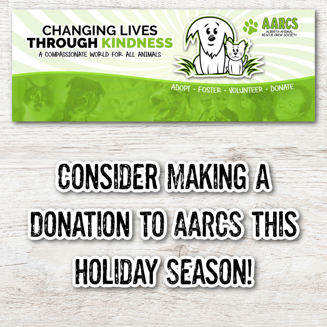 PaperInkCalgary's tweet photo. Help Us Give Back This Holiday Season! 💕 - https://t.co/siZ5Q6tSst https://t.co/h66XHAug9m
