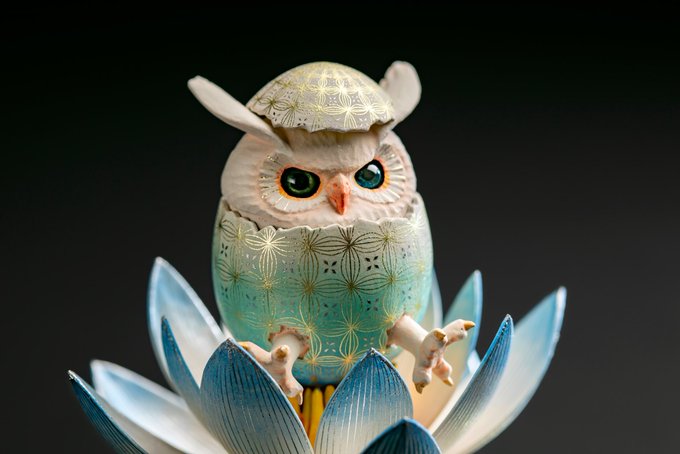 カリメロ アニメレーダー カリメロ アニメレーダー