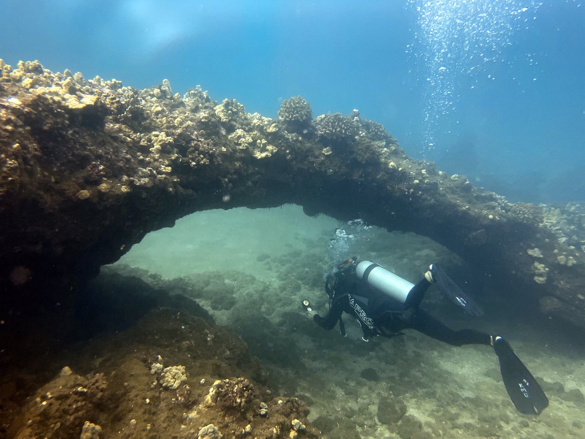 Thefuturo99's tweet photo. Another amazing morning under the sea. https://t.co/WV6G6fhECC