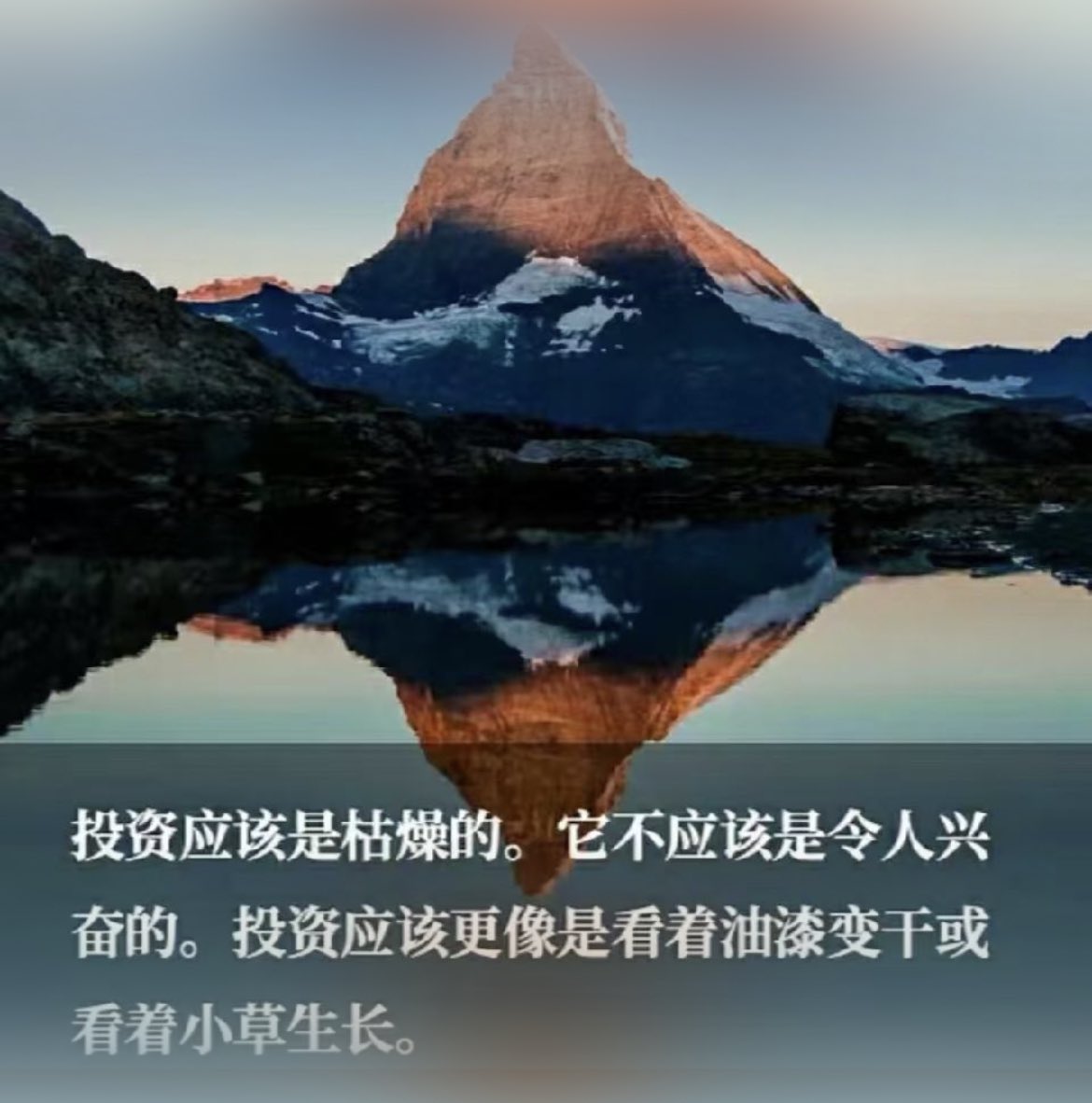 Dp大鹏 tweet media