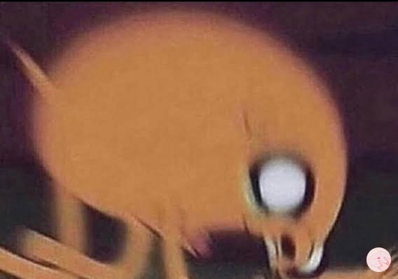 JPFBASE AKTIF LAGI‼ on Twitter: "*JPF KENAPA SEMUA CHARA ANIME BERAMBUT