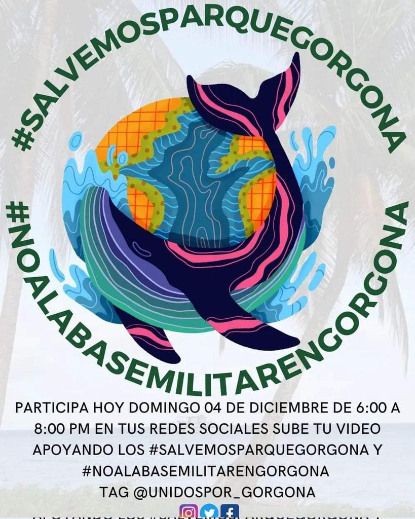 Liz Avila tweet media