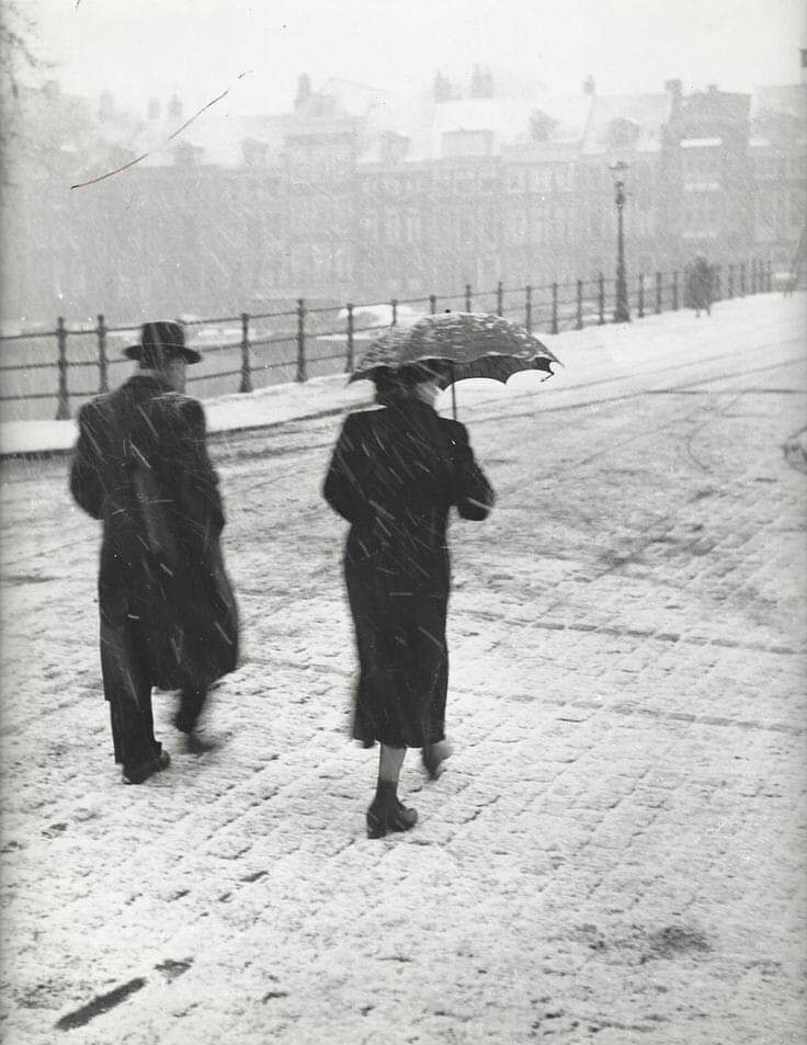 literlandweb1's tweet image. "Para amar hay que estar dispuesto a asumir dos soledades, la propia y la del otro".
Rainer María Rilke
📷Kees Scherer