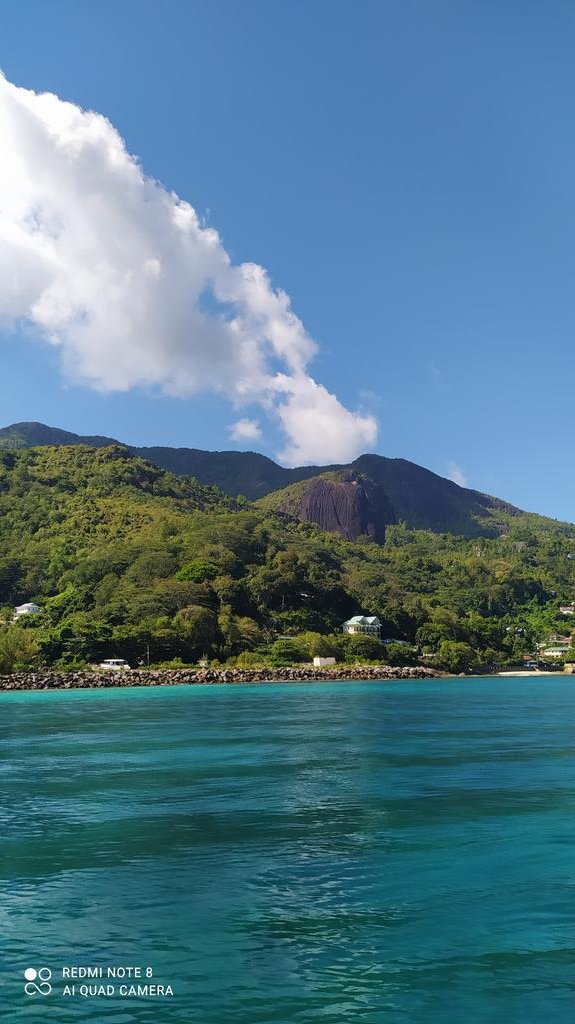 BaezBarrionuevo's tweet photo. Seychelles #Viajes #NaturePhotography #holiday #naturephoto https://t.co/WY7TqzUQkV