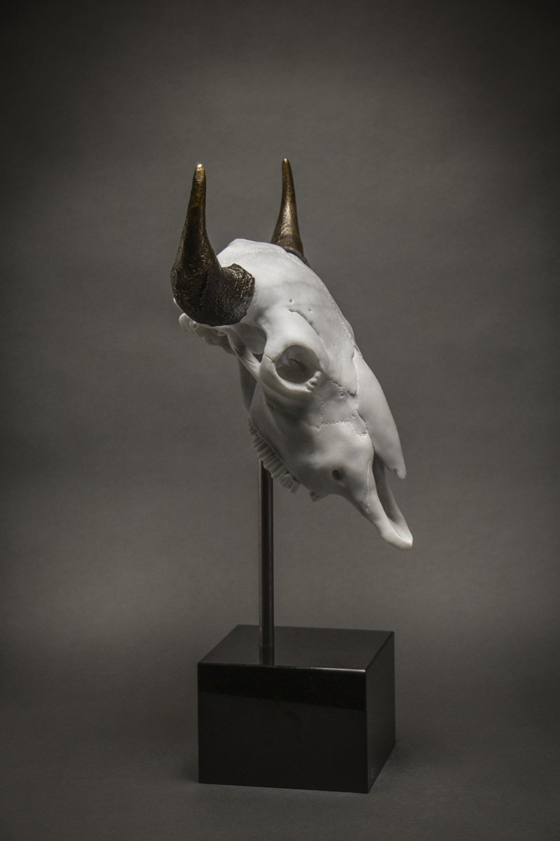 marco_di_lucca's tweet photo. Final bison skull hand carved in marble and bronze
#traditionalart #sculpture #bisonskull https://t.co/t39JIbppWu