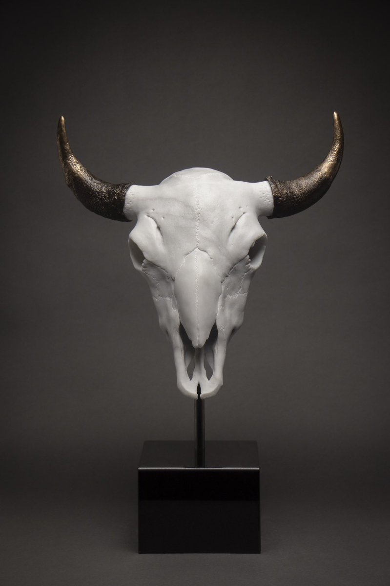 marco_di_lucca's tweet photo. Final bison skull hand carved in marble and bronze
#traditionalart #sculpture #bisonskull https://t.co/t39JIbppWu