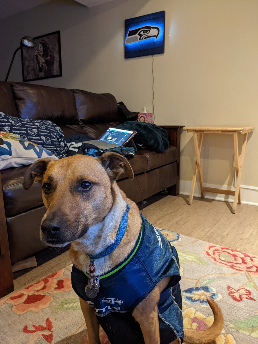 jbosgarden's tweet photo. @clintonbon What a beauty! Riley says hi and Go Hawks! https://t.co/87mBzw0T7F