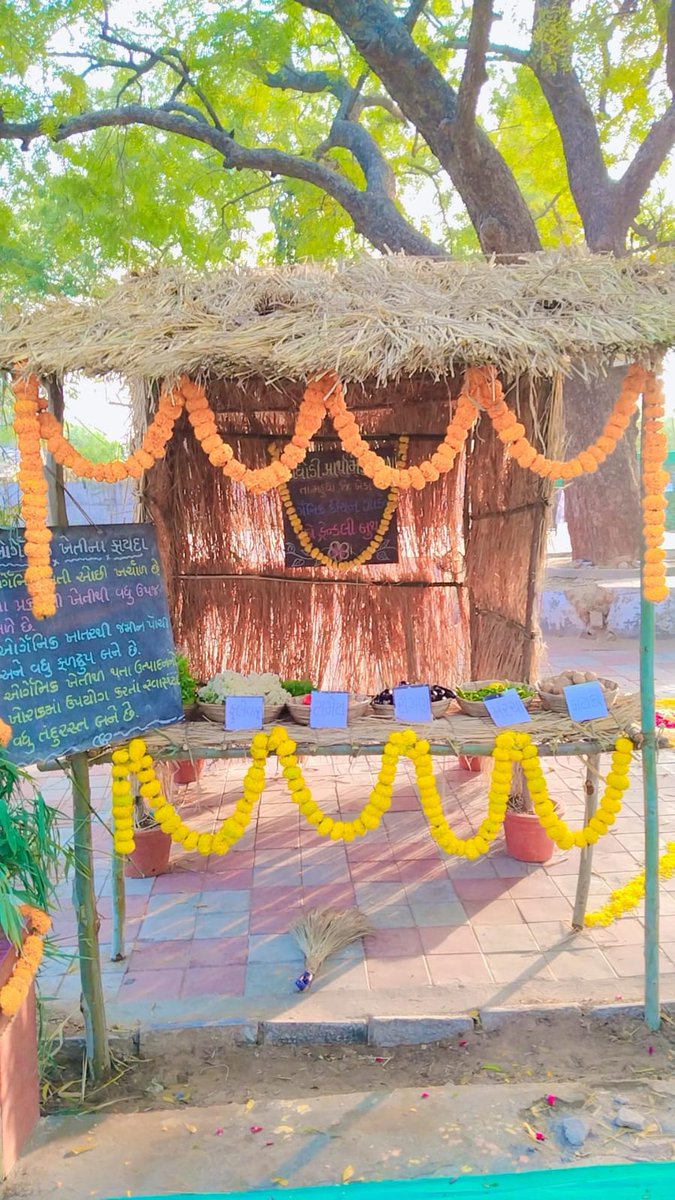 Glimps of Eco Friendly Polling station#  
Election Commission of India 
#GujaratElections2022 #Polling #GujaratAssemblyPolls #AVSAR #NoVoterToBeleftBehind #CEOGujarat #collectorkheda