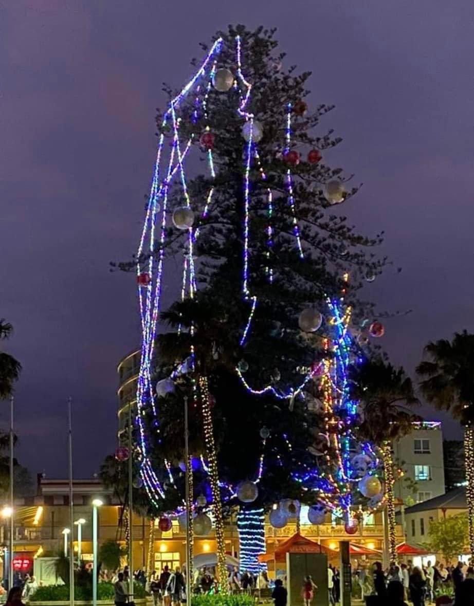 I feel how the Port Macquarie Hastings Council Christmas tree looks.