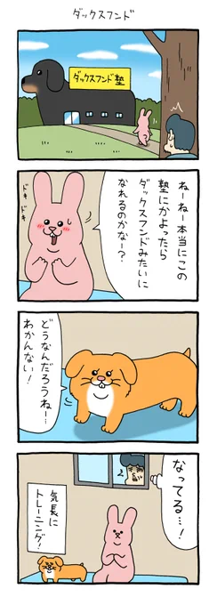 4コマ漫画スキウサギ「ダックスフンド」単行本「スキウサギ7」発売中!→  