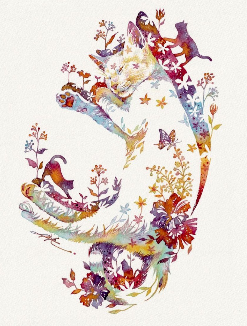 「夢の中は楽しいにゃ#透明水彩#maruman #vifart #白猫 #猫の居る」|タケダヒロキのイラスト