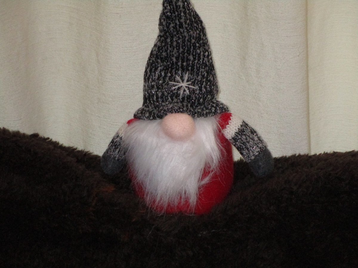 Wendy 🇨🇦 tweet media