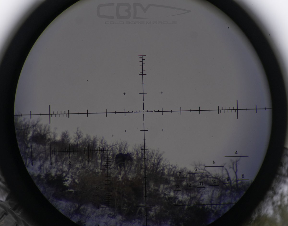 coldboremiracle's tweet photo. I am really liking this @steineropticsusa T6Xi 5-30.
This is the MSR2 reticle, and a moose seen from 1600 yards away as daylight fades. Beauty.
#coldboremiracle #freelancesharpshooter #steineroptics #reticle #moose https://t.co/wBwFfo7SoY