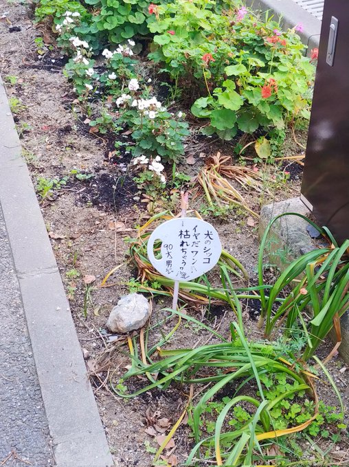 #これを見た人は記憶に残った看板を貼れ
老人の願い 