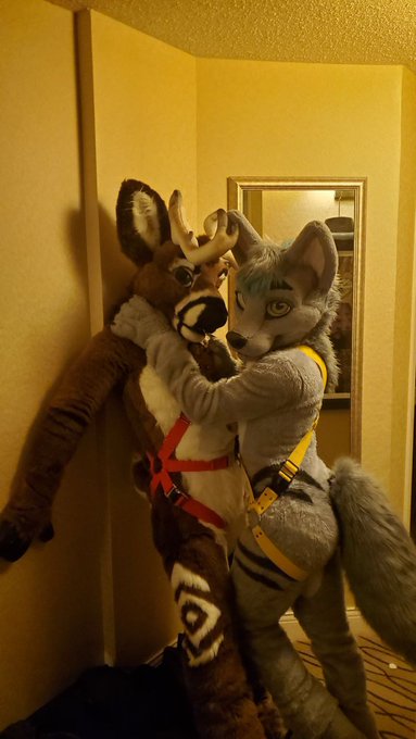 FINAL FURSUIT SESSION AT MFF COME FIND US @AshtonStag https://t.co/DDICEJY1Q6