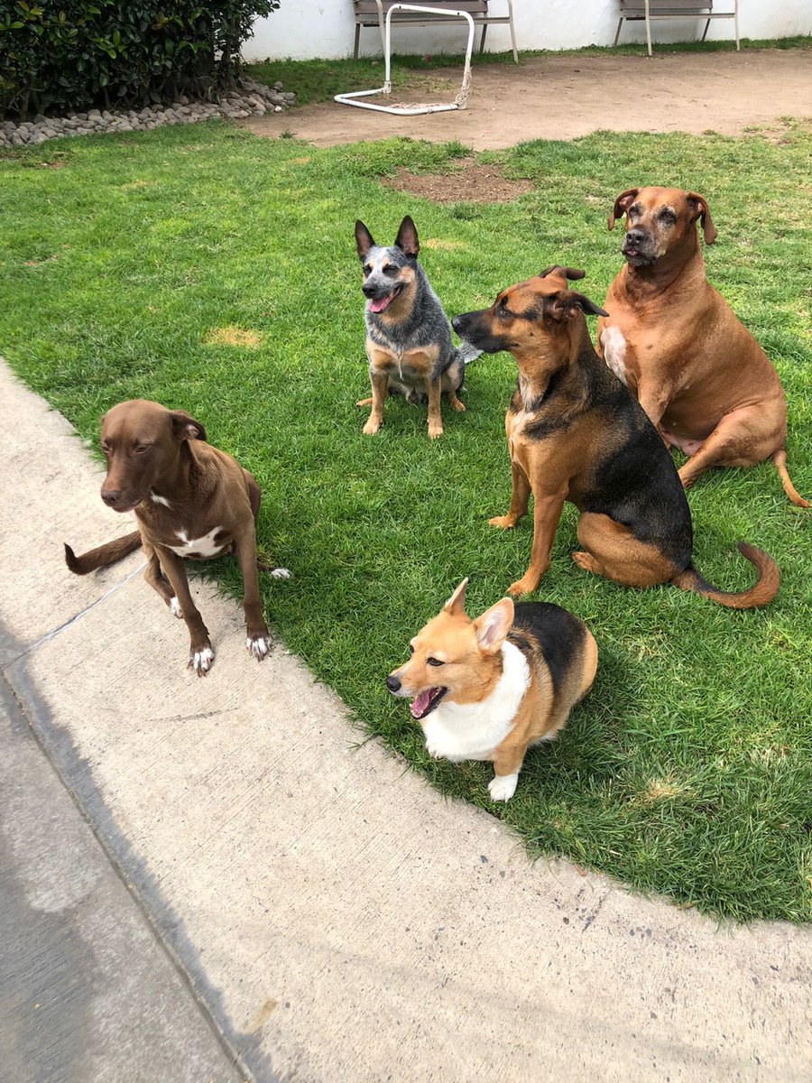 VidalRiveraMD tweet media