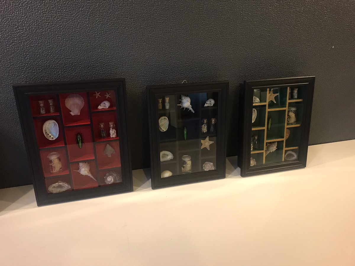 Hesters Rariteitenkabinet tweet media