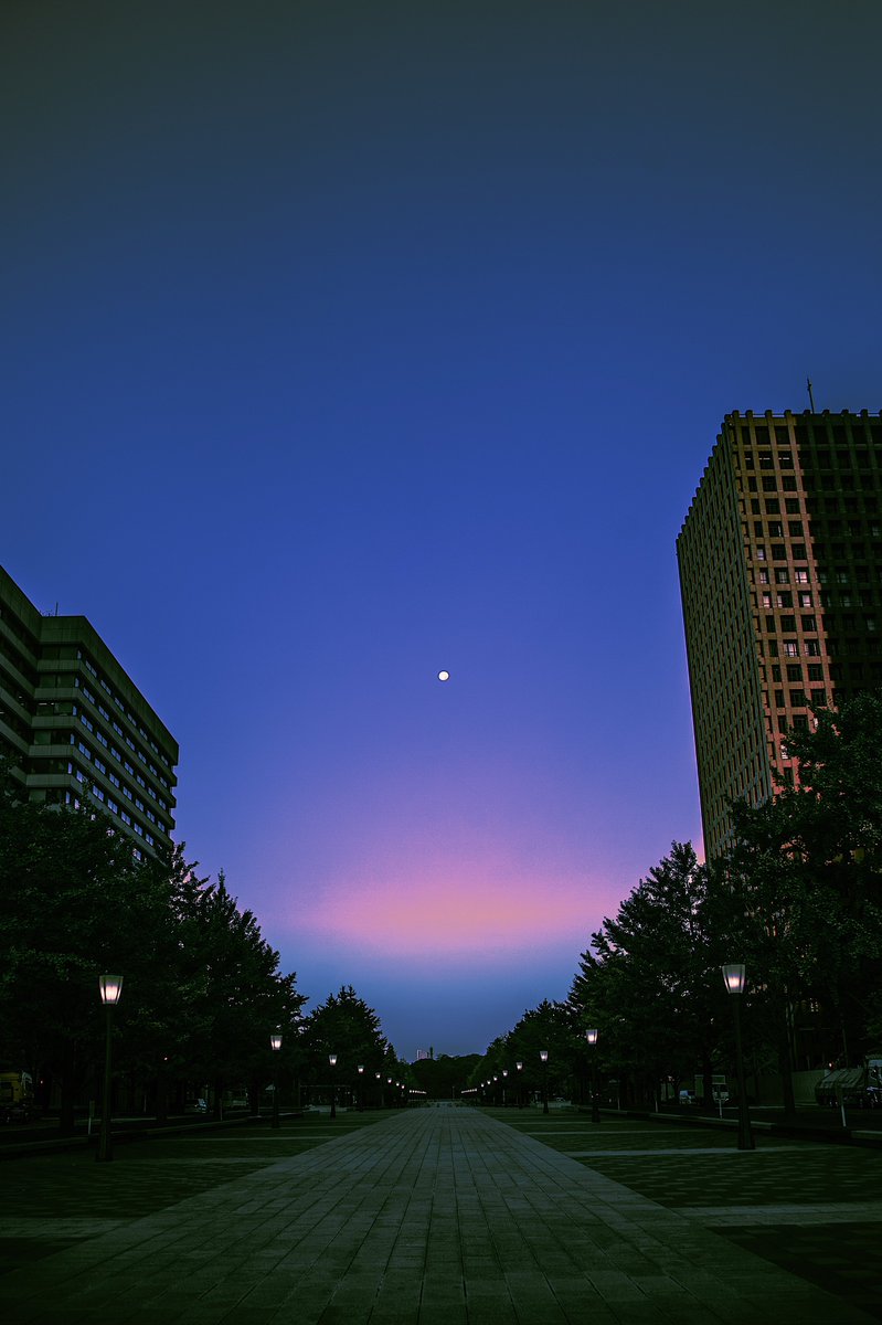 tk_nonseptic's tweet photo. 僕は生きているよ。
相変わらずだよ。
紙煙草は辞めたよ。
夢では吸っているけれど。

そうだ、愛妹が結婚したよ。
とても綺麗だったよ。
幸せそうだったよ。

以上、生存報告でした。 https://t.co/iLgtqWNj3E