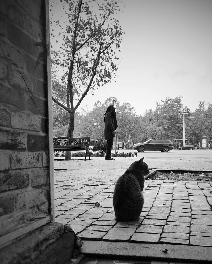 Hrofire's tweet photo. three dots.
.
..
…
#three #dots #cat #kitty #man #people #squere #monochromatic #bw #streetphotography #about1321art https://t.co/gN8oyq367s https://t.co/DSuxxwbdVg