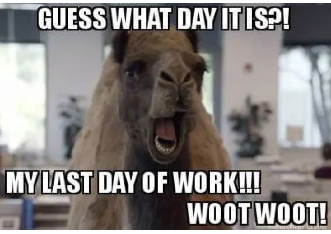 Sad to be leaving today after all these years but excited to start my new journey.

 It was a pleasure working with so many different colleagues along the way.

It is now, the right time to start writing my next chapter 😍😍