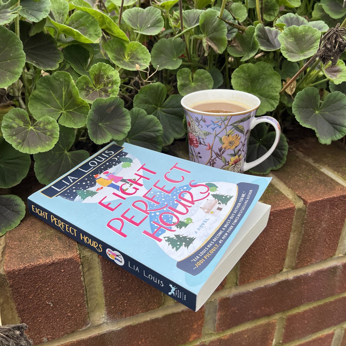 NovelistJessica's tweet photo. Matching my reading to the frosty weather: Eight Perfect Hours by Lia Louis #EightPerfectHours #LiaLouis https://t.co/XtE4DogQDm