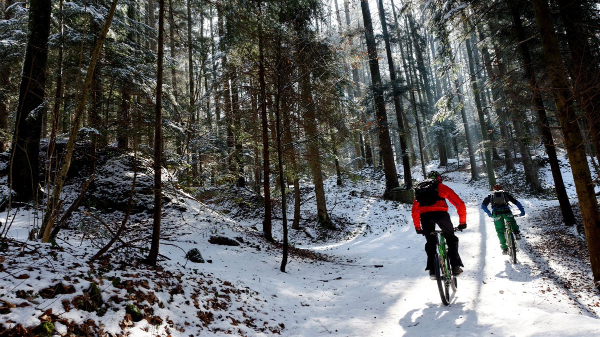 Veloplus tweet media