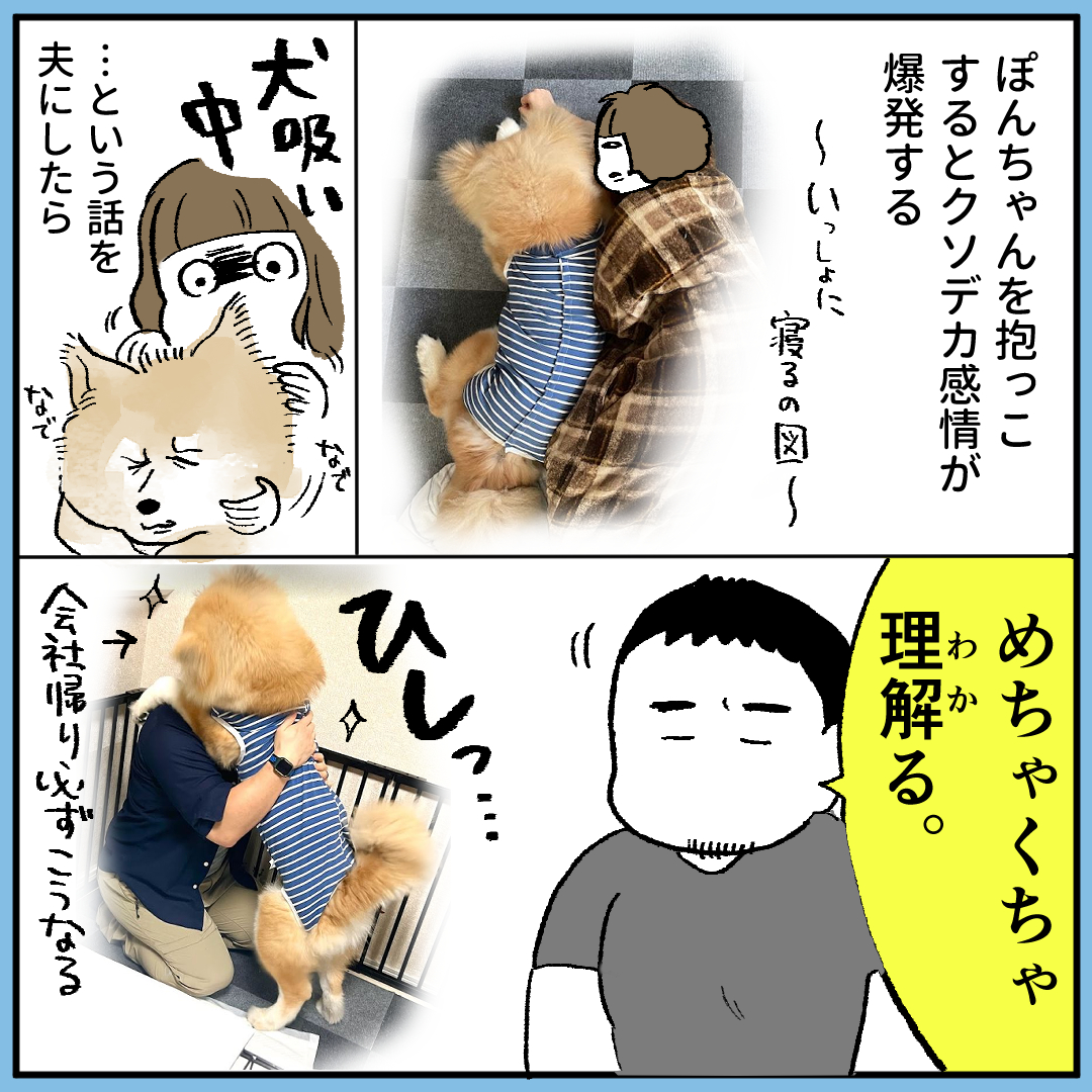 大きくて もふもふの生命(いのち)良い… #秋田犬 