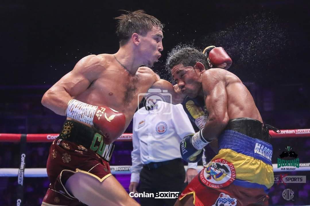Boxing Hub Belfast tweet media
