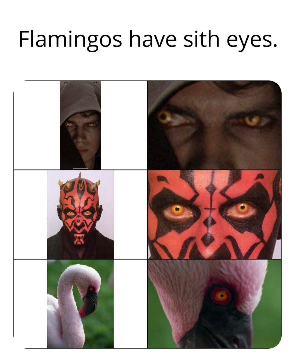 Prequel Memes tweet media