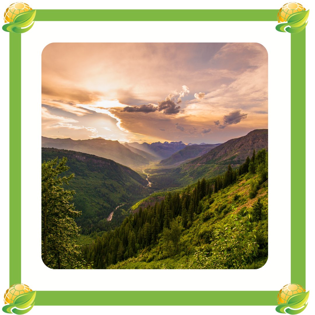 GreenActionSo's tweet photo. Earth's forests are one of the planet's best defences against climate change. 

They combat climate change by absorbing almost one-third of the carbon dioxide released from burning fossil fuels every year.

#greenactionsociety #climatechange #trees #kenya https://t.co/vVCk1tzviJ
