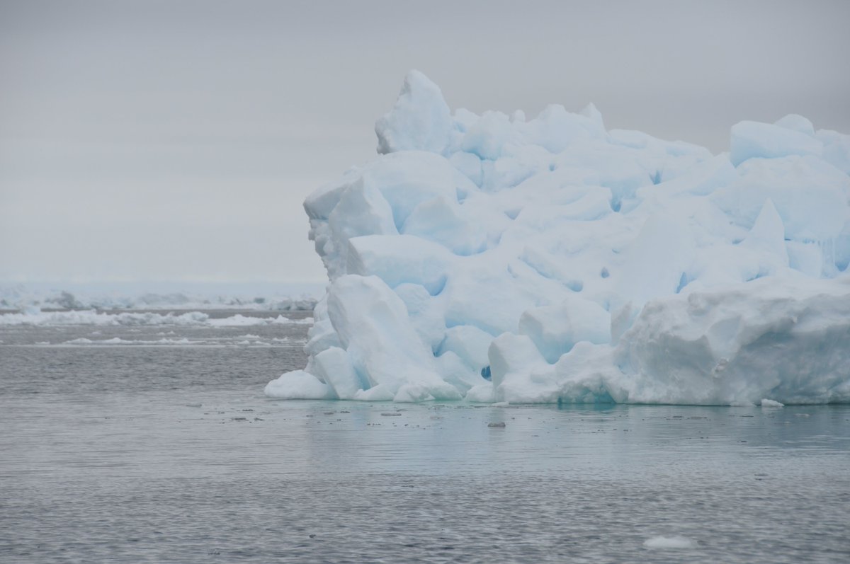Last week to apply for the #BREATHE postdoc in sea ice biogeochemical modelling @NorskPolar: 

jobbnorge.no/en/available-j…